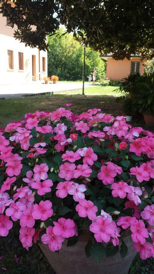Bed and Breakfast Quo Vadis Qui Vieni à Rovigo Extérieur photo